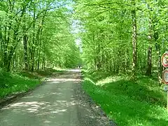 Chemin dans la forêt à Vy-lès-Lure.