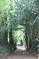 Chemin forestier vers l'église.