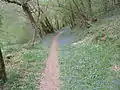 Chemin dans les gorges de la Voueize.