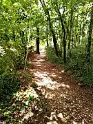 Chemin menant à la tombe de Paul Claudel depuis le château.