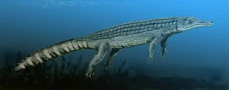 Chenanisuchus