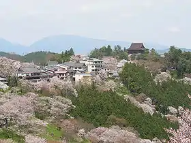 Yoshino (Nara)