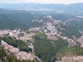 Vue du mont Yoshino au printemps, lors de la floraison de ses fameux cerisiers du Japon.