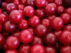 Prunes-cerises