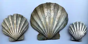 Chesapecten Jeffersonius