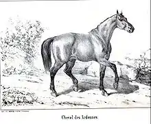 Gravure en noir et blanc présentant un cheval de profil dans un paysage sommaire.