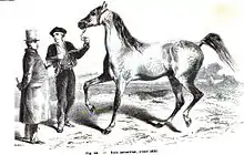 Gravure représentant un paysan tenant un cheval fougueux en licol et le présentant à un homme en manteau et chapeau haut de forme avec un certain embompoint.