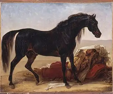 Cheval arabe