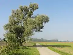 Paysage à l'ouest du Chevrières.