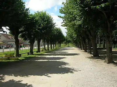 Le pâtis, espace communal au bord du Serein, lieu des fêtes.