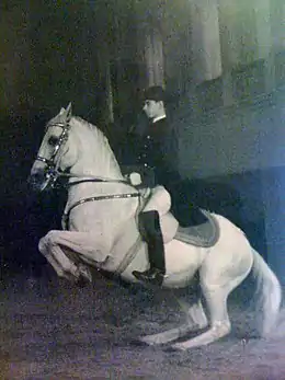 Photo en noir et blanc présentant un cavalier en tenue exécutant sur son cheval gris un air de Haute école.