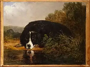 Pluton chien favori du maître, musée des Beaux-Arts de Reims.