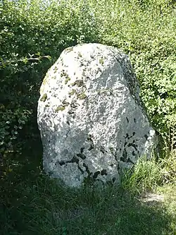Menhir et dolmen de l'Aurière