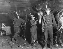 Enfants mineurs de charbon et mules, en 1908 dans la mine de Gary en Virginie-Occidentale. Source : Library of Congress.