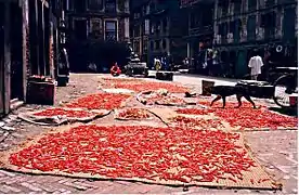 Photographie en couleurs de piments rouges étalés sur des tapis dans une rue.