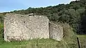 Ruines de l'ancien château féodal.