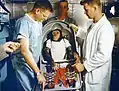Le chimpanzé Ham avant le lancement de la mission Mercury-Redstone 2.