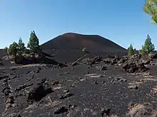 Cône volcanique noir dans un paysage de sable noir avec quelques rares arbres.