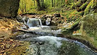 Cascadelles sur le ruisseau des Champs du Poix à Chiprey.