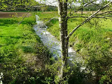 La Chironde, en aval du pont de la Tour, à Saint-Amand-de-Coly.