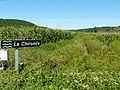 La Chironde, mince filet d'eau en bordure des champs de maïs