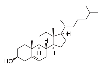 Fig. 2 Un stérol: le cholestérol