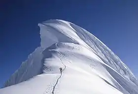 Vue du sommet du Chopicalqui