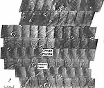 Traces d'écoulements liquides dans la région occidentale de Chryse Planitia à l'embouchure de Maja Valles, par 21° N et 311° E ; l'image suivante détaille les environs du cratère Dromore.