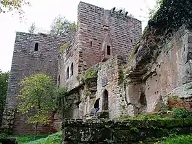 Image illustrative de l’article Château du Wasenbourg