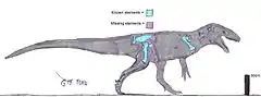 Description de l'image Chuandongocoelurus.jpg.