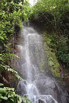 Une averse descend d'une forêt.