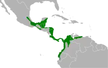 Carte de l'Amérique du sud et Centrale avev quelques zones coloriées en vert