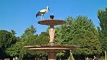 Cigogne se rafraîchissant dans une fontaine du Parc de l'Orangerie devant le Pavillon Joséphine