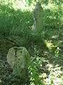 Cimetière bastide disparue de Pont-la-Reine.