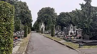 Allée 12 du cimetière de Roubaix.