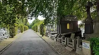 Allée du cimetière de Roubaix.