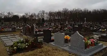 Cimetière des Pins.