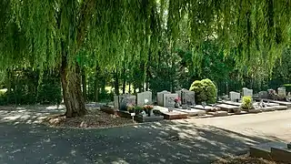 Fond du cimetière.