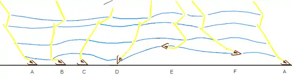 Schéma décrivant la cinétique du pied du cheval, avec les différentes phases d'une foulée.