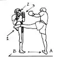 Blocage d’un coup de pied circulaire en boxe thaïlandaise