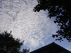 Cirrocumulus undulatus encastrés dans du cirrocumulus