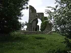 Photographie des ruines d'un monastère vues à travers la végétation