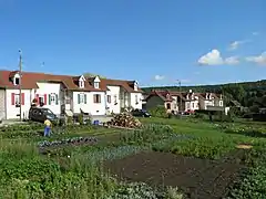 La cité Darras et les jardins