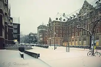 Février 2009, temps de neige sur le parc.