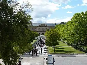 L'allée des Droits de l'Homme du lycée Joffre à Montpellier.