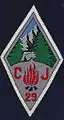 Insigne du CJF 29 - Groupe de direction.