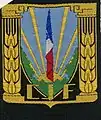 insigne du CJF (1er modèle) noir.