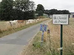 Chemin du Prieuré.