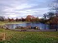 Etang dans le parc