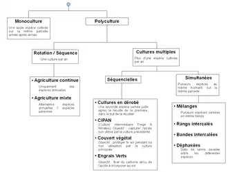 Classification des principaux groupes de système de culture : monoculture, polyculture, cultures multiples, cultures en dérobé.